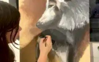 Resim Dersi Kurt 800×800